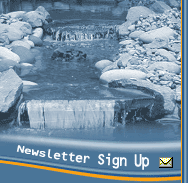 Newsletter Sign up